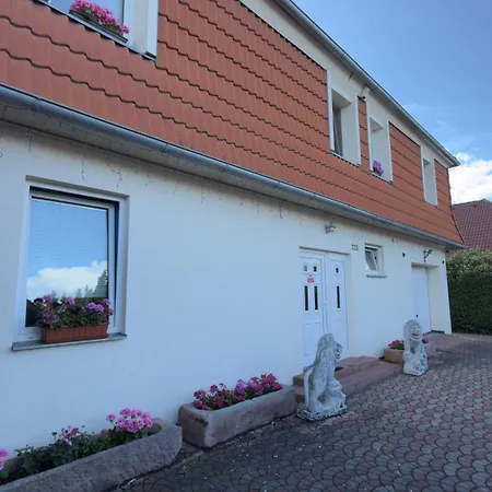 Sabina House Vila *